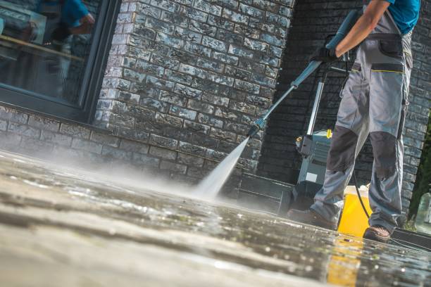 Best Graffiti Removal  in Burien, WA