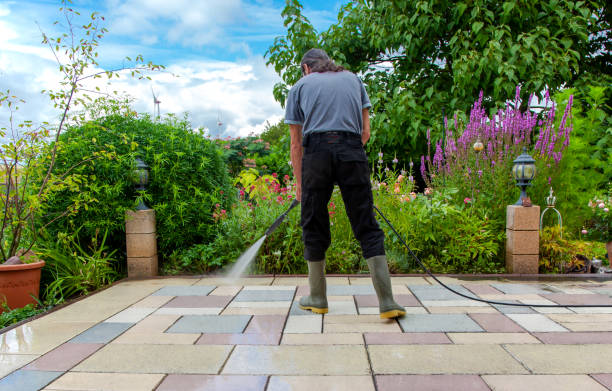 Animal Enclosure Cleaning in Burien, WA