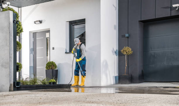 Best Driveway Pressure Washing  in Burien, WA